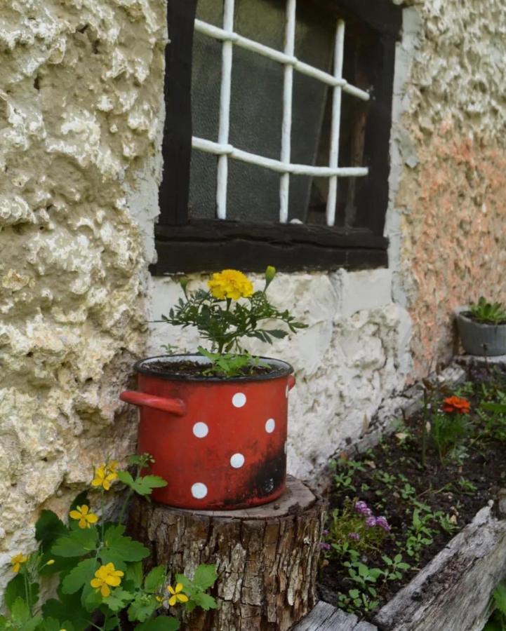 Etno Kuca Milidrag Vila Foca Exterior foto